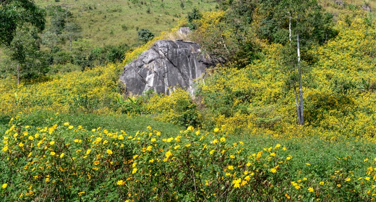 Black Marble On A Flower Meadow