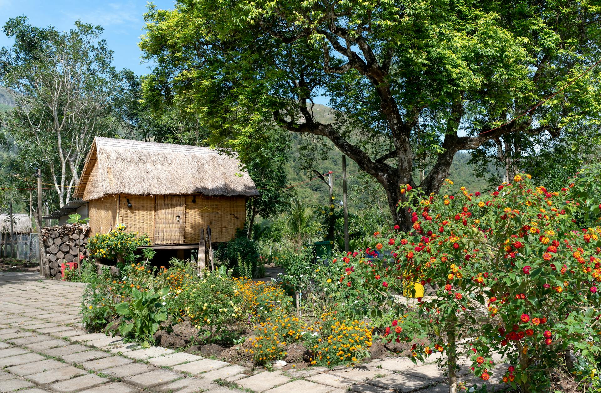 A serene outdoor garden scene featuring a traditional wooden shed and vibrant flowers under a large green tree.