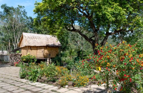 Free A serene outdoor garden scene featuring a traditional wooden shed and vibrant flowers under a large green tree. Stock Photo