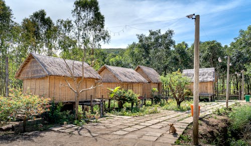 Straw Houses in Forest in Countryside