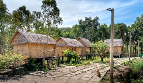 Free Charming bamboo and straw bungalows nestled in a lush countryside setting with a clear blue sky. Stock Photo