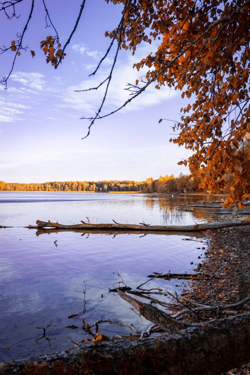Free Serene autumn lake scene with vibrant reflections and rich fall foliage. Stock Photo