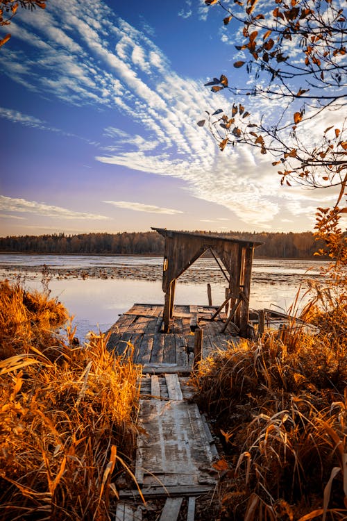 免費 白天水草覆蓋的棕色木製船塢 圖庫相片