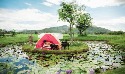 Man and Dogs in a Tent on a Little Island in the Middle of a Pond 