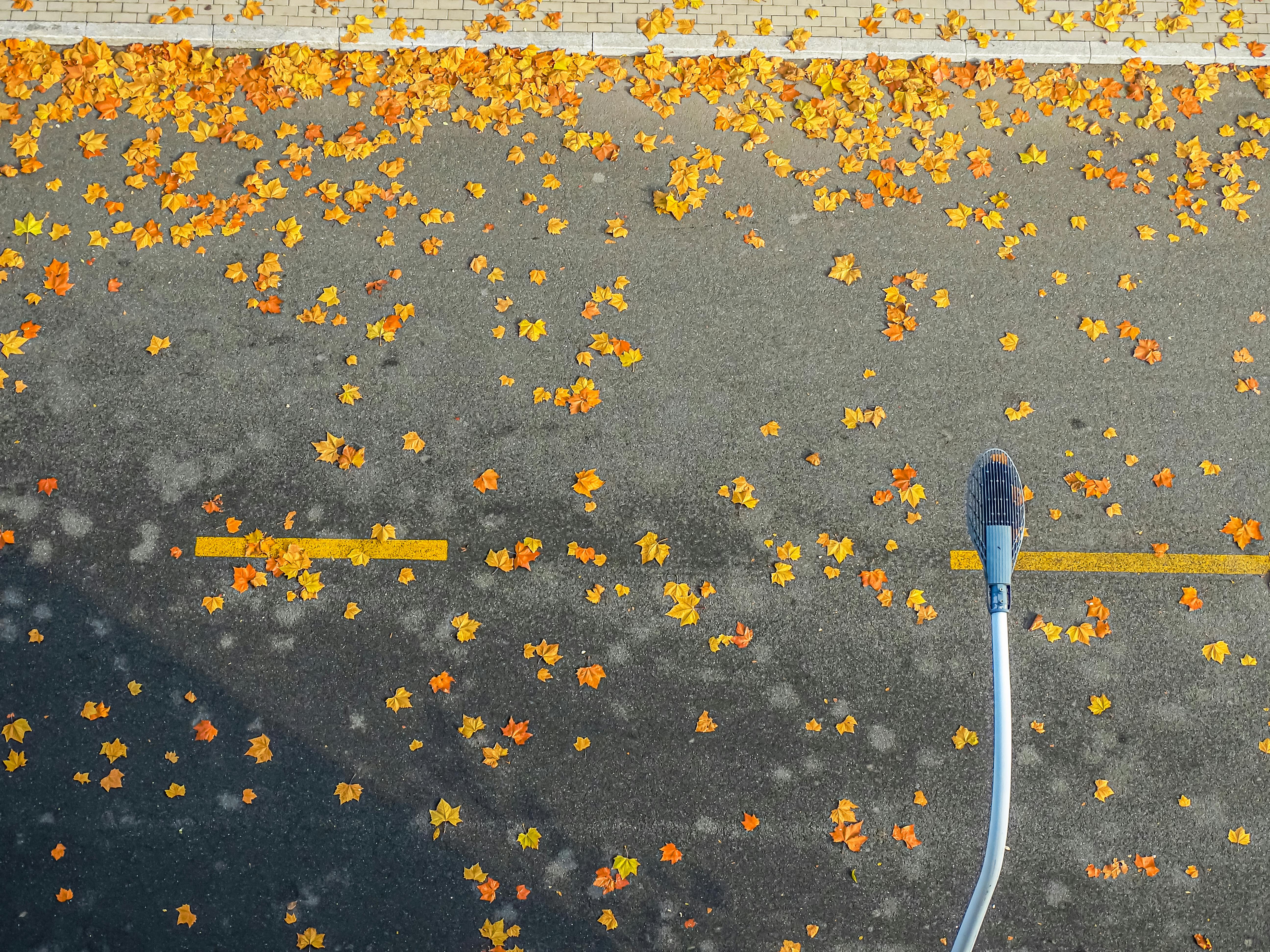 evs explained ev electrification — Photo by Linjie Zhang on Pexels
