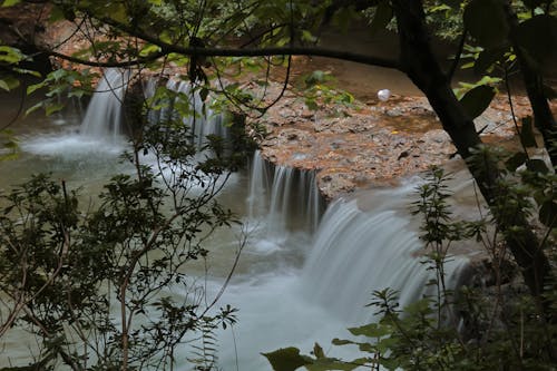 Бесплатное стоковое фото с водопад, деревья, длинная экспозиция