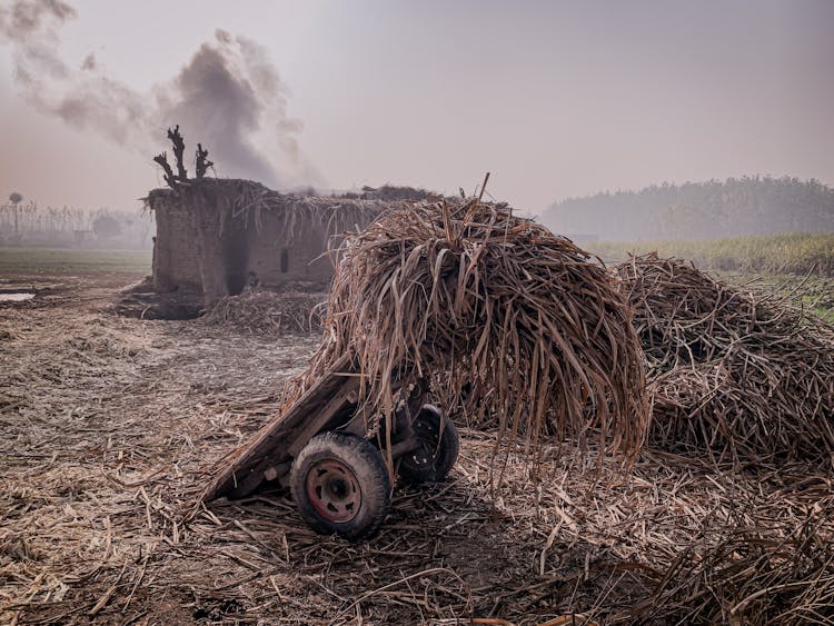 Hut And Hay On Farm