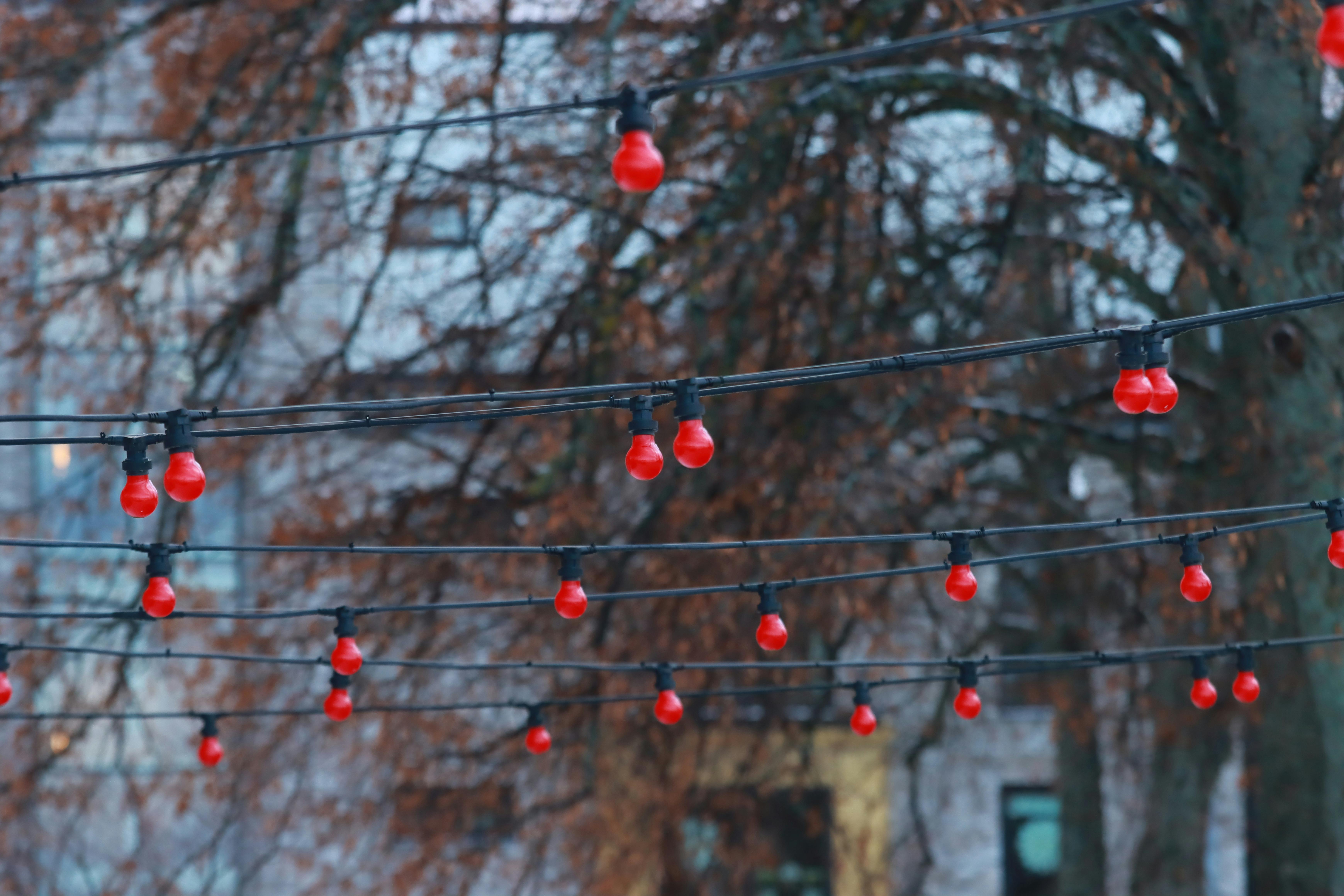 red lights on wires in front of trees