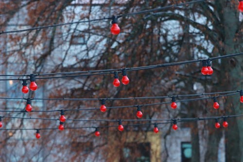 Close-up of Red String Lights Hanging above a Street 