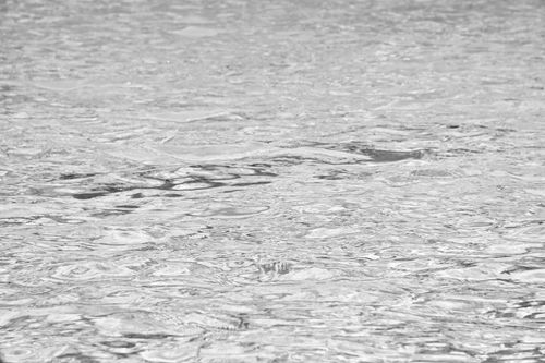 Free A calming close-up of rippling water with intricate patterns. Stock Photo