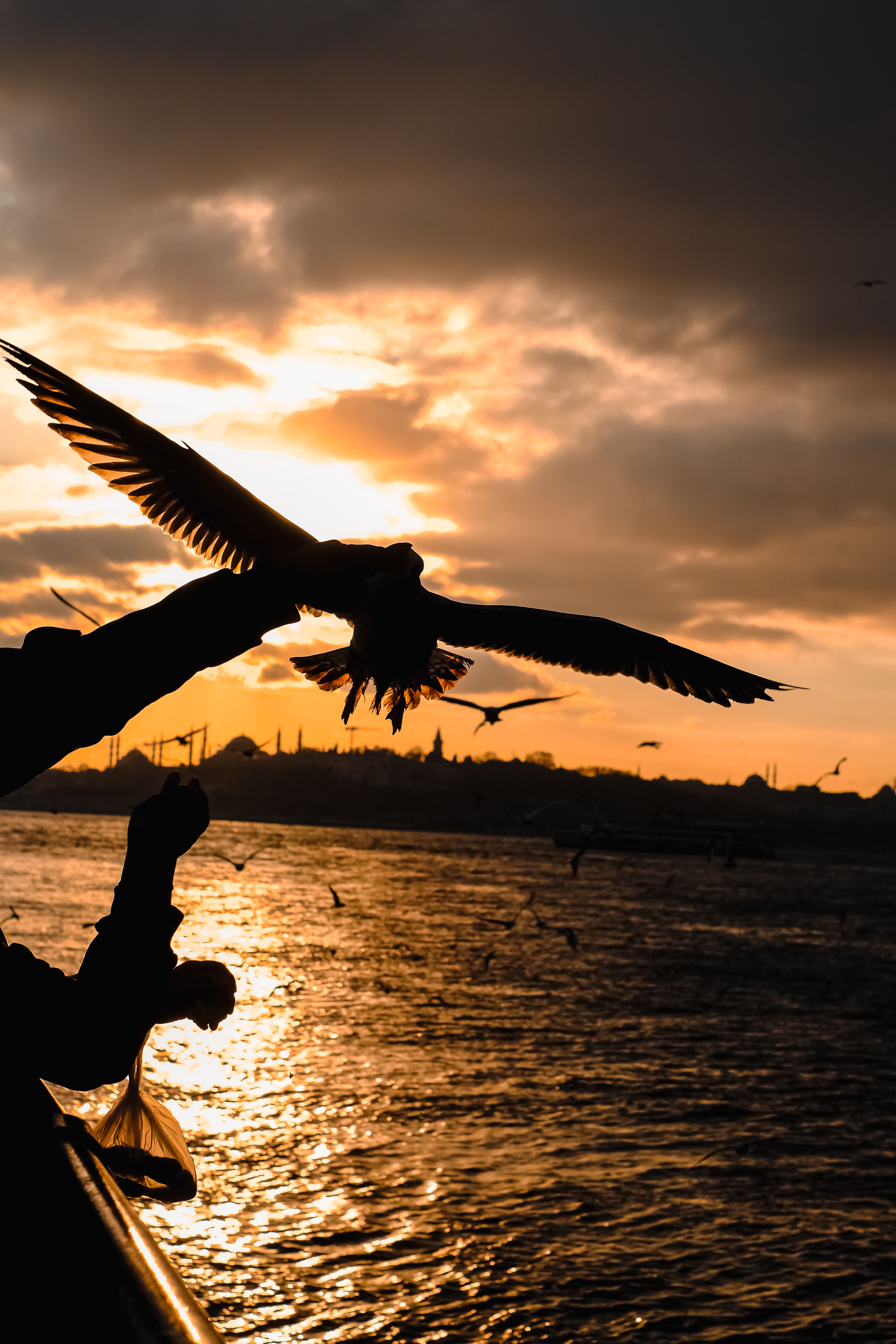 Silhouetted birds gracefully fly over a river during a breathtaking golden hour sunset.