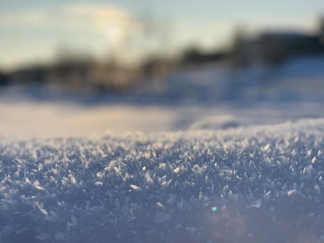 Macro shot of frosty snowflakes sparkling in soft winter sunlight, capturing cold beauty.