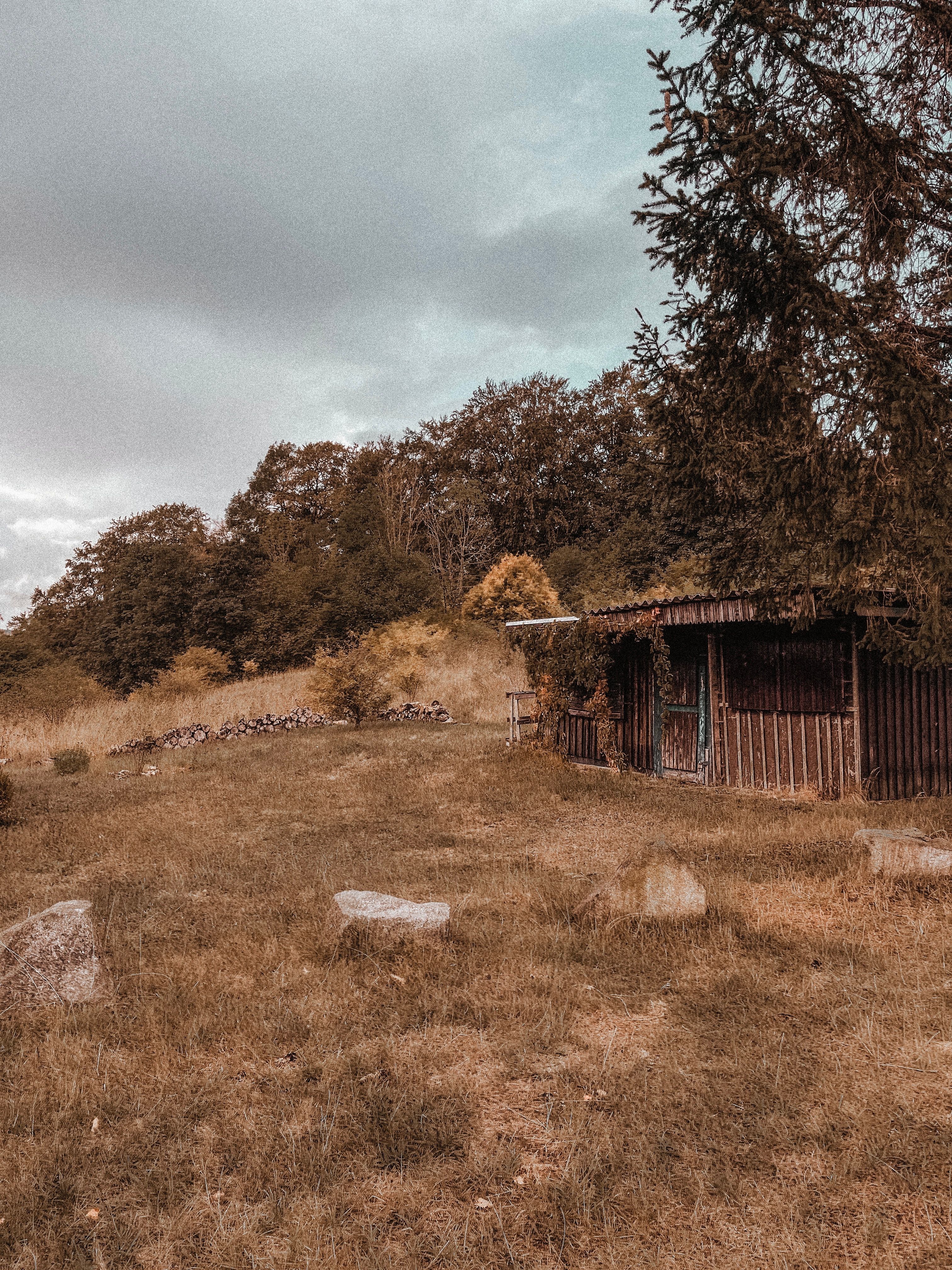 A serene abandoned hut in a scenic autumn landscape, perfect for nature enthusiasts.