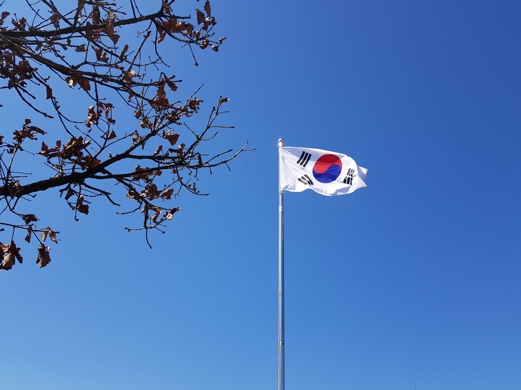 제헌절은 헌법 제정을 기념하는 5대 국경일 중 하나입니다.