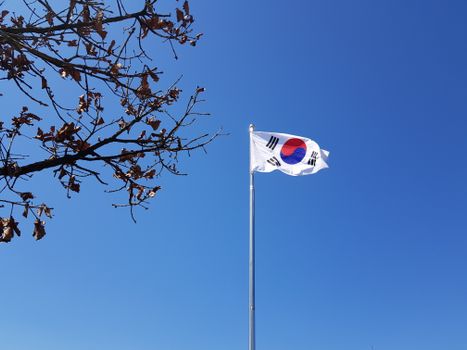 한국어교원자격증