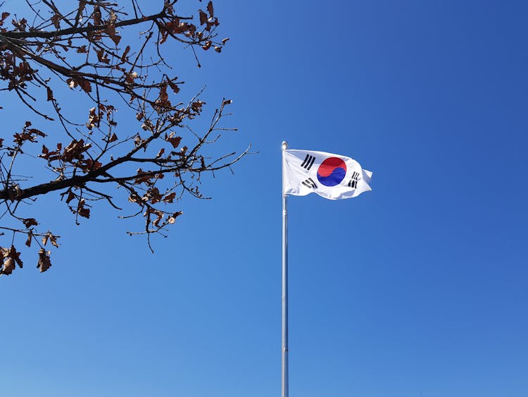 The Flag Of South Korea 