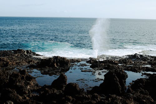 Imagine de stoc gratuită din apă, apă albastră, crashing valuri