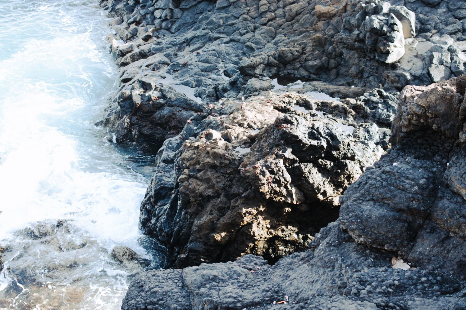 Coastal Rocks Photos, Download The BEST Free Coastal Rocks Stock Photos ...