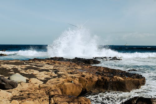 Immagine gratuita di bagnasciuga, costa, mare