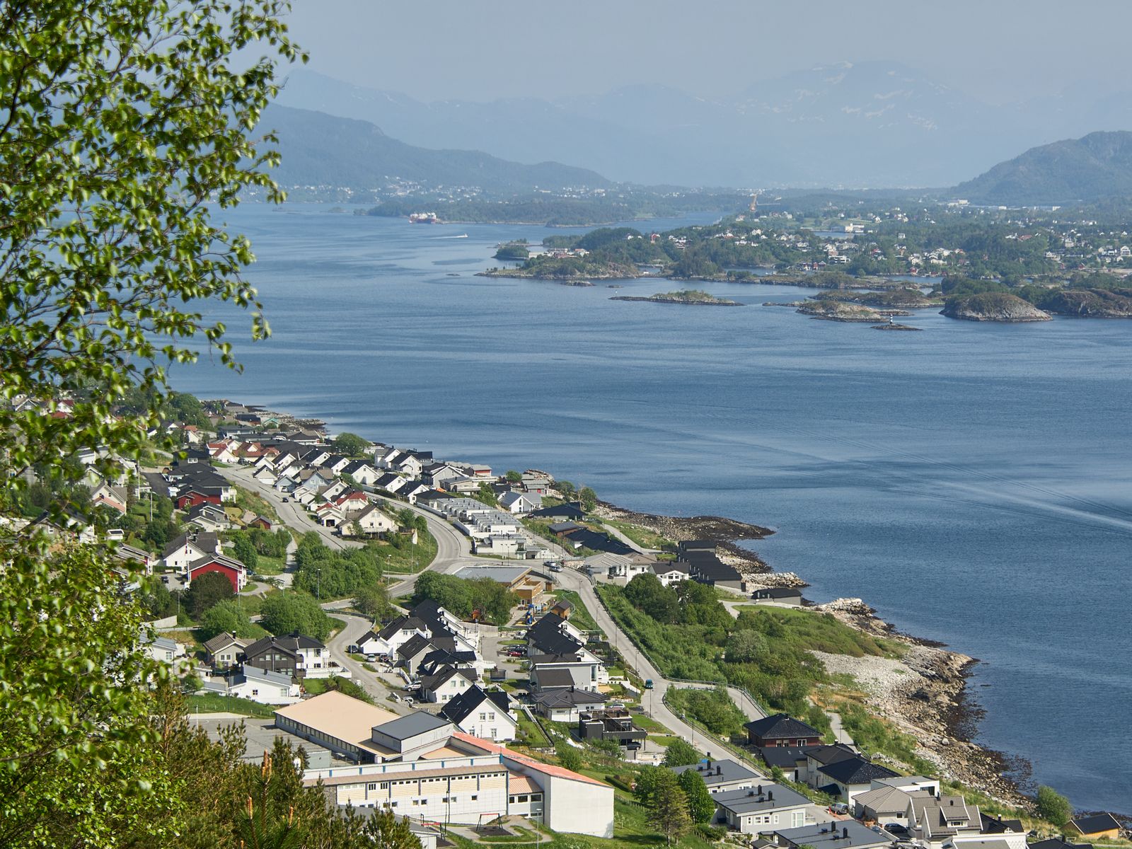 Ålesund's homes and islands seen from a hillside on a sunny summer day