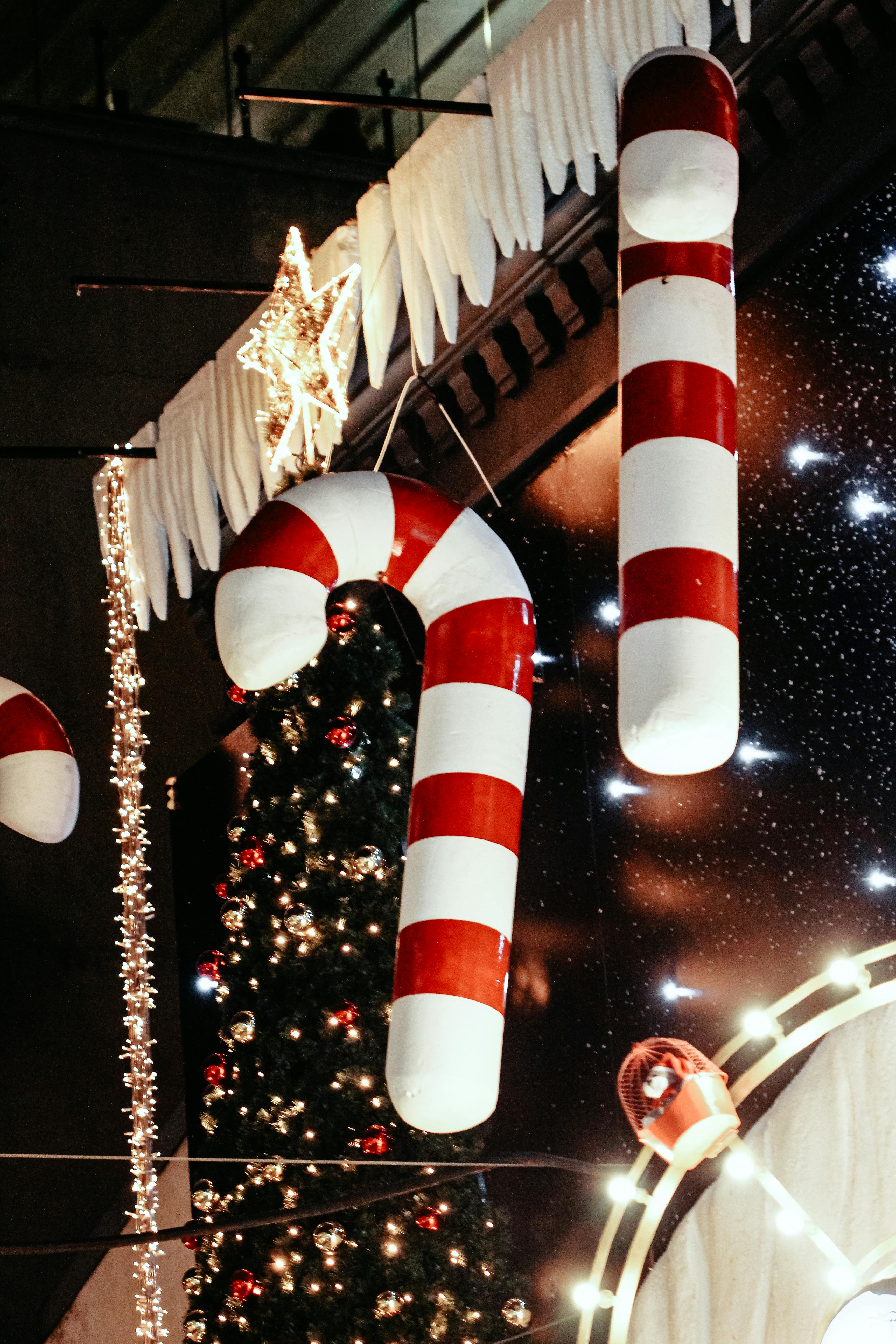 A Person Holding A Candy Cane · Free Stock Photo