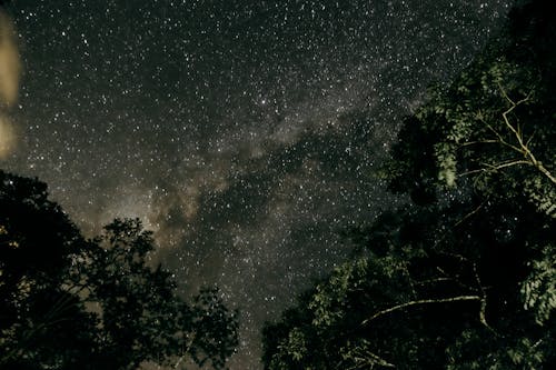 夜間の星空の写真