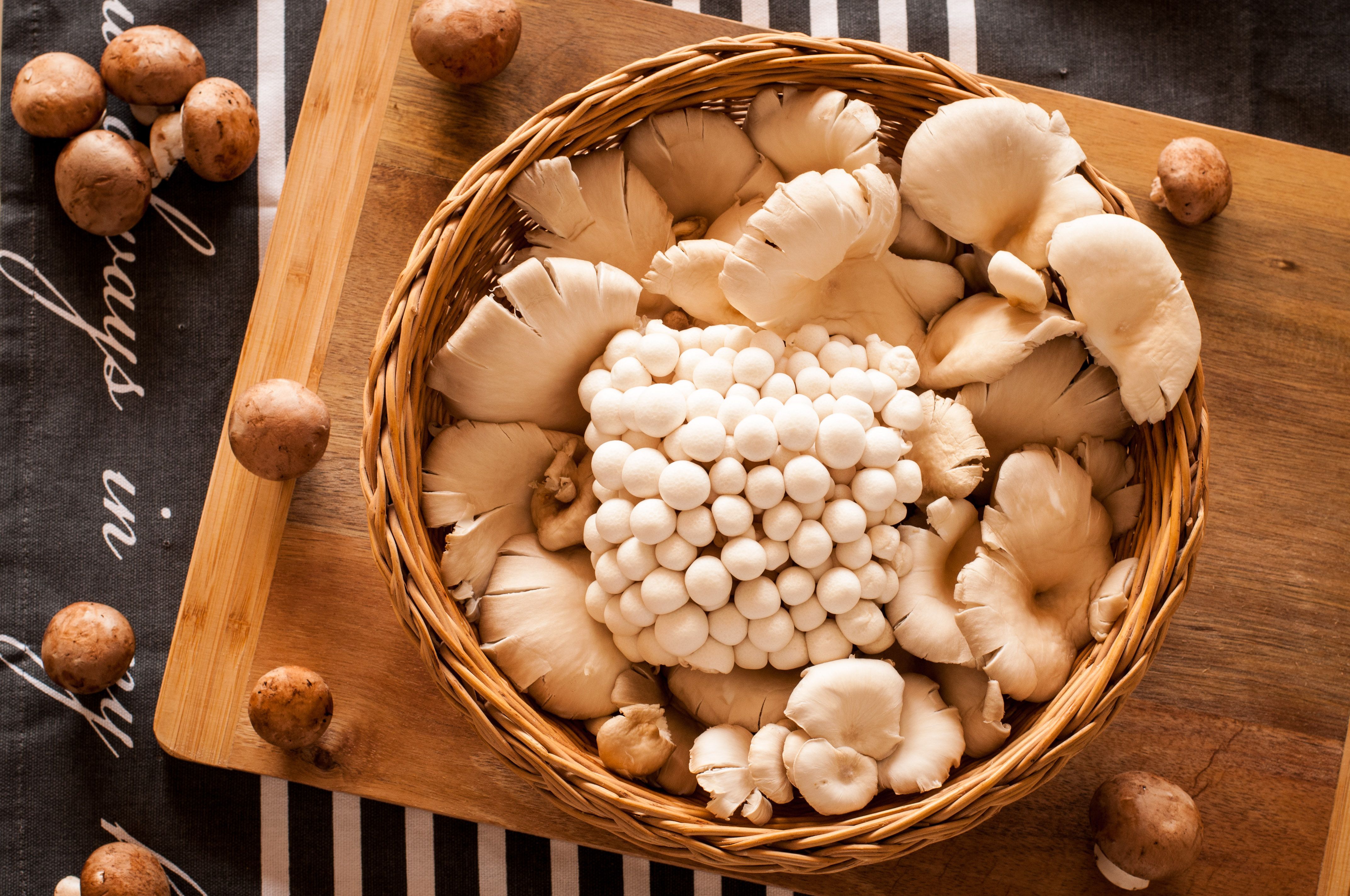 A top view of various mushrooms including oyster and button, arranged in a woven basket.