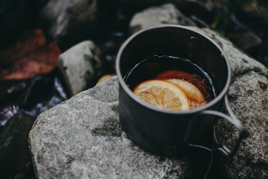 溪流旁的岩石上，放着一个装有热饮和柠檬片的金属杯，营造出迷人的户外场景