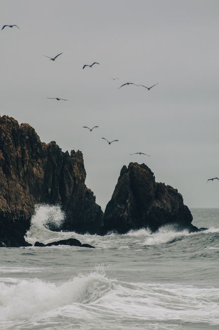 Waves crash against rocky cliffs under an overcast sky with seabirds soaring above.