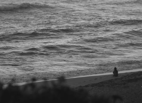 Person Sitting on Beach Shore