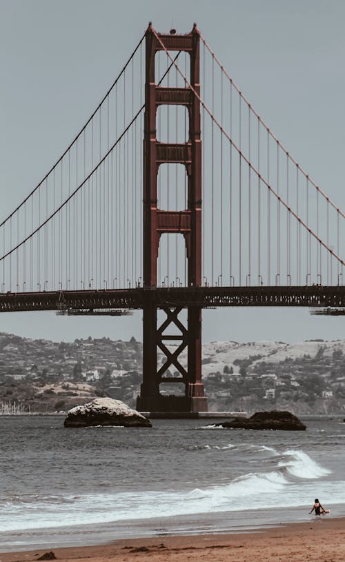加州, 吊橋, 垂直拍攝 的 免費圖庫相片