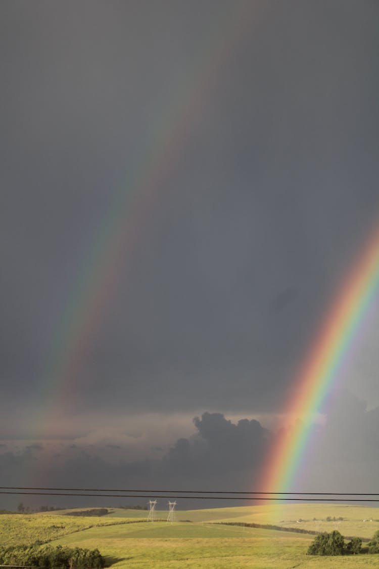 Rainbows In The Sky Above The Grass