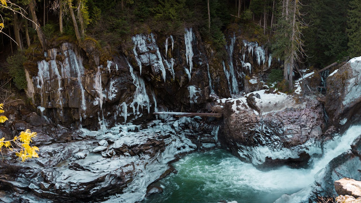 Foto d'estoc gratuïta de arbres, bosc, cascada