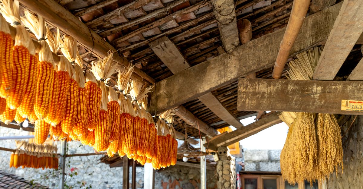 Kiln — corn-drying in Ardbraccan