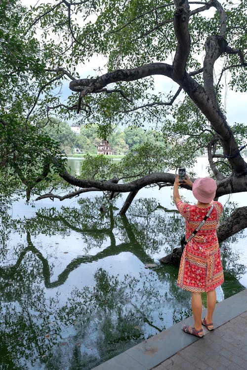 Woman Taking Photo of a Tree