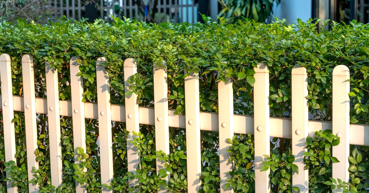 Native Landscaping Garden With Natural Beauty And Privacy