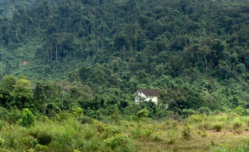 Free A solitary cabin nestled in a lush, dense forest, surrounded by nature's tranquility. Stock Photo