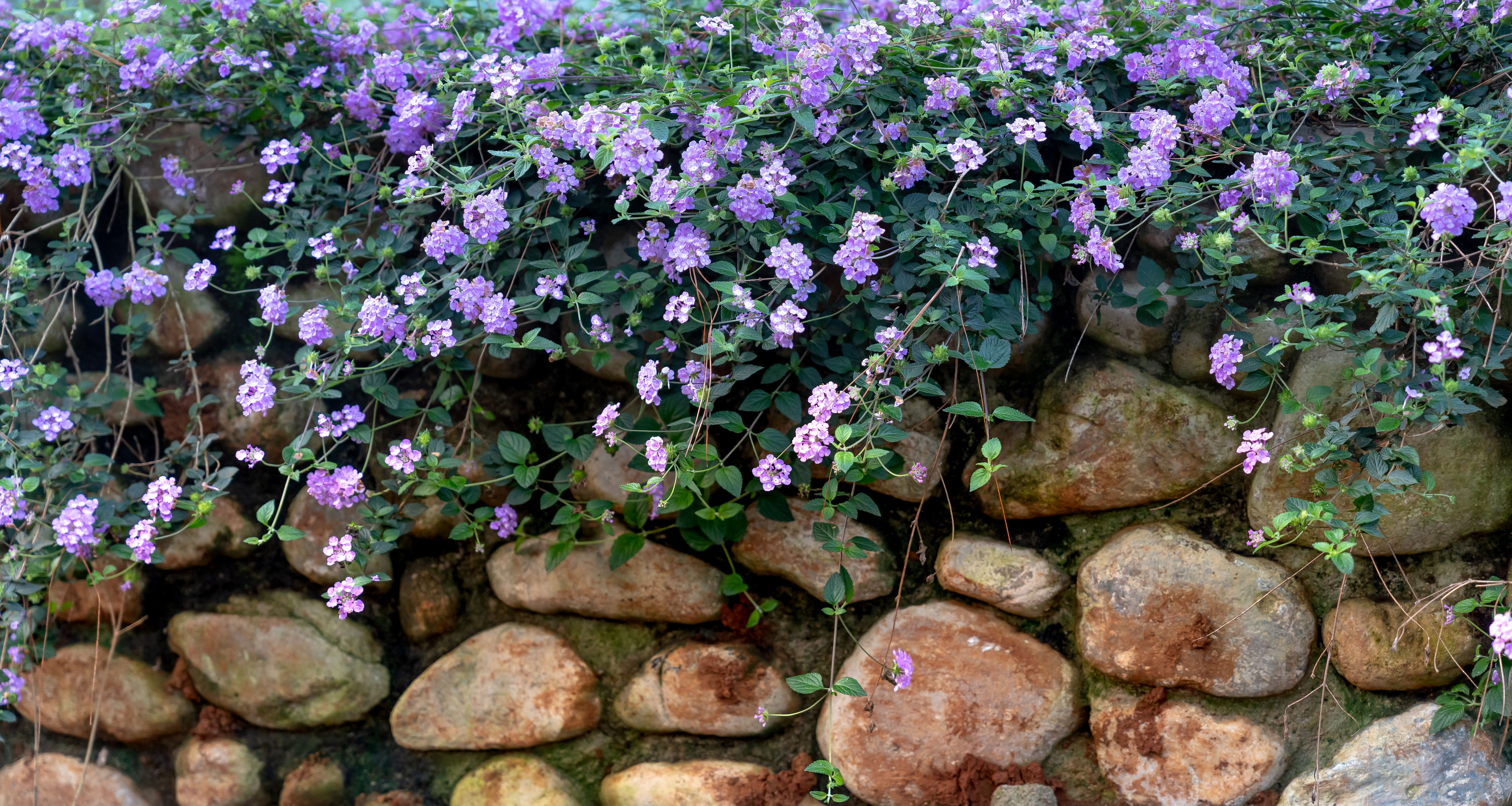 Retaining wall drainage pipe inspection guidelines — step-by-step reference media