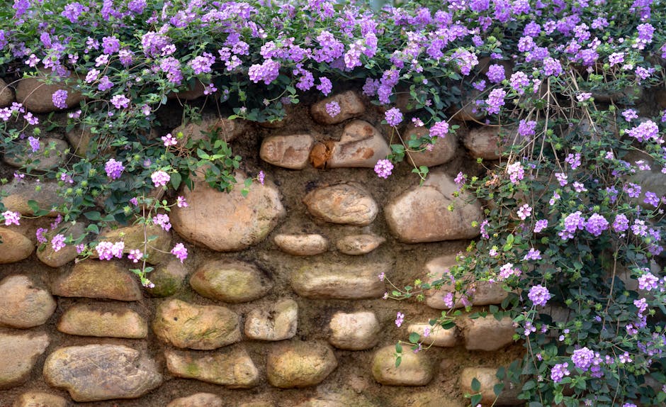 Colorful perennials spilling over a retaining wall - Patio and garden design