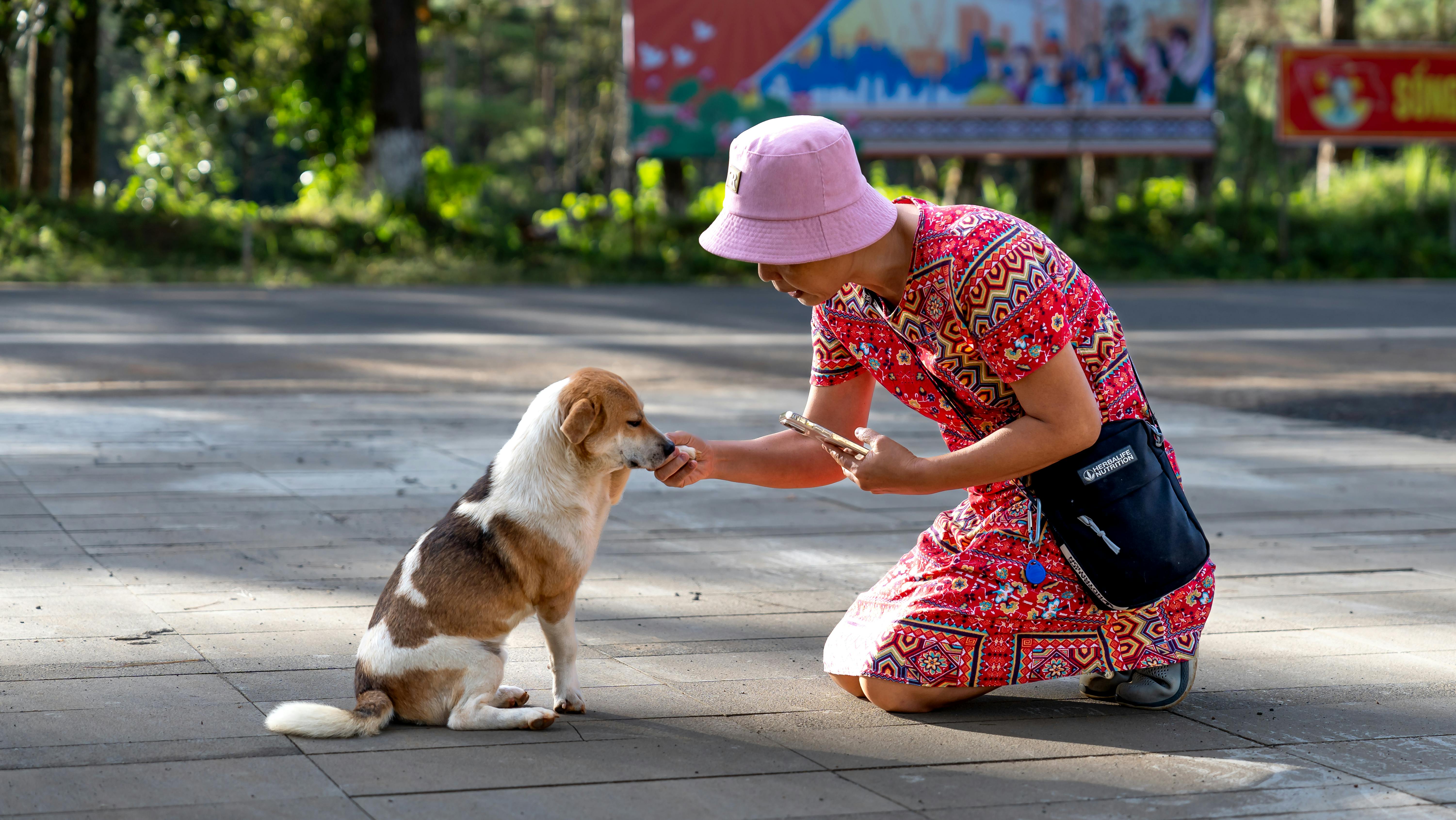 pet technology limited — Photo by Quang Nguyen Vinh on Pexels
