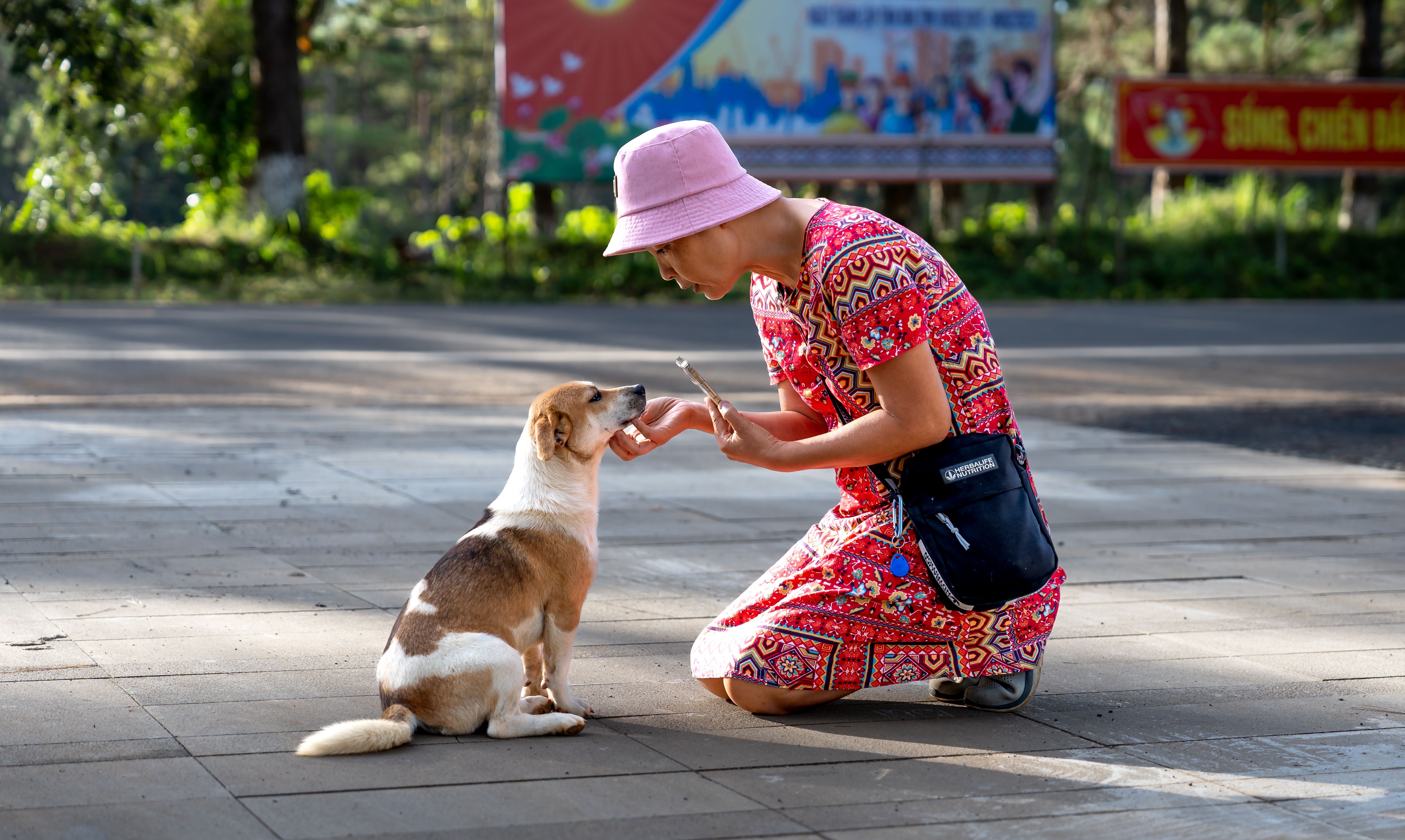 pet technology market — Photo by Quang Nguyen Vinh on Pexels