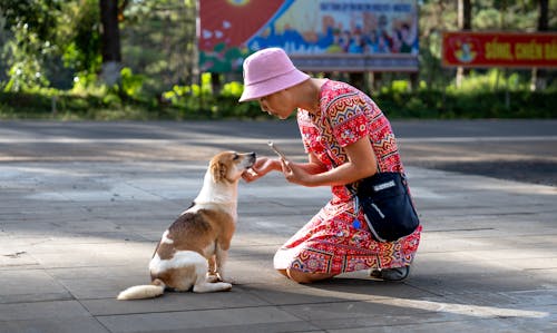 A Woman in Pink Bucket Hat Touching the Cute Dog 