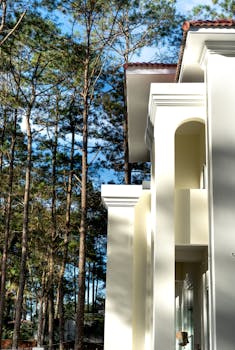 Elegant modern house against a backdrop of lush, tall pine trees in summer.