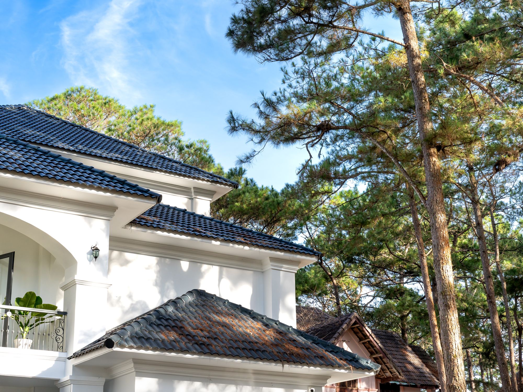 House Removals in Langport, South West — professional movers carrying furniture on a house move