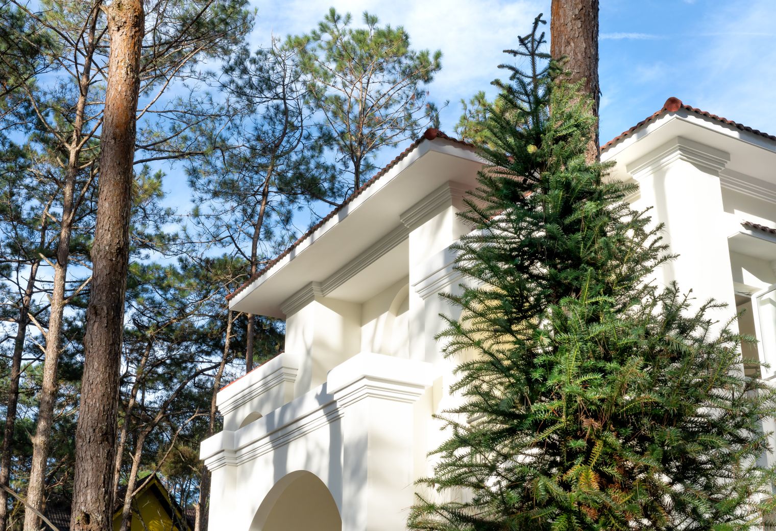 Exterior Painting in Bow — the finished result after a professional repaint