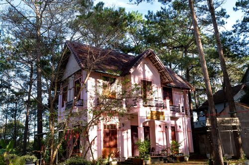 Free A serene pink house nestled among tall trees in a tranquil forest setting. Stock Photo