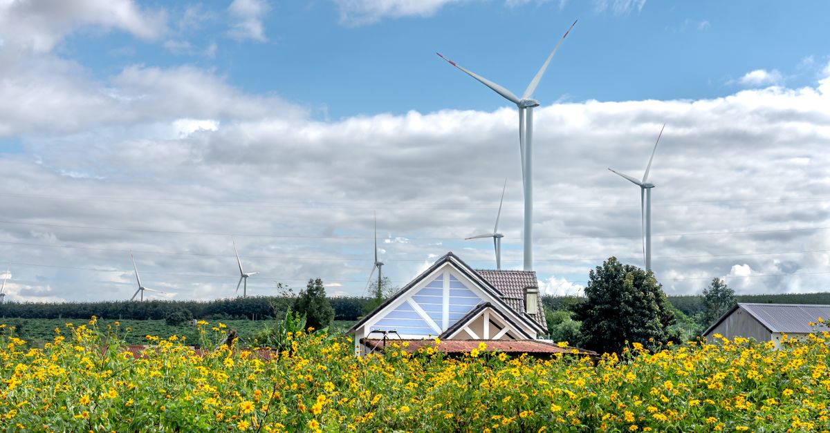 Défis et Découvertes : Les Nouvelles Innovations Écologiques