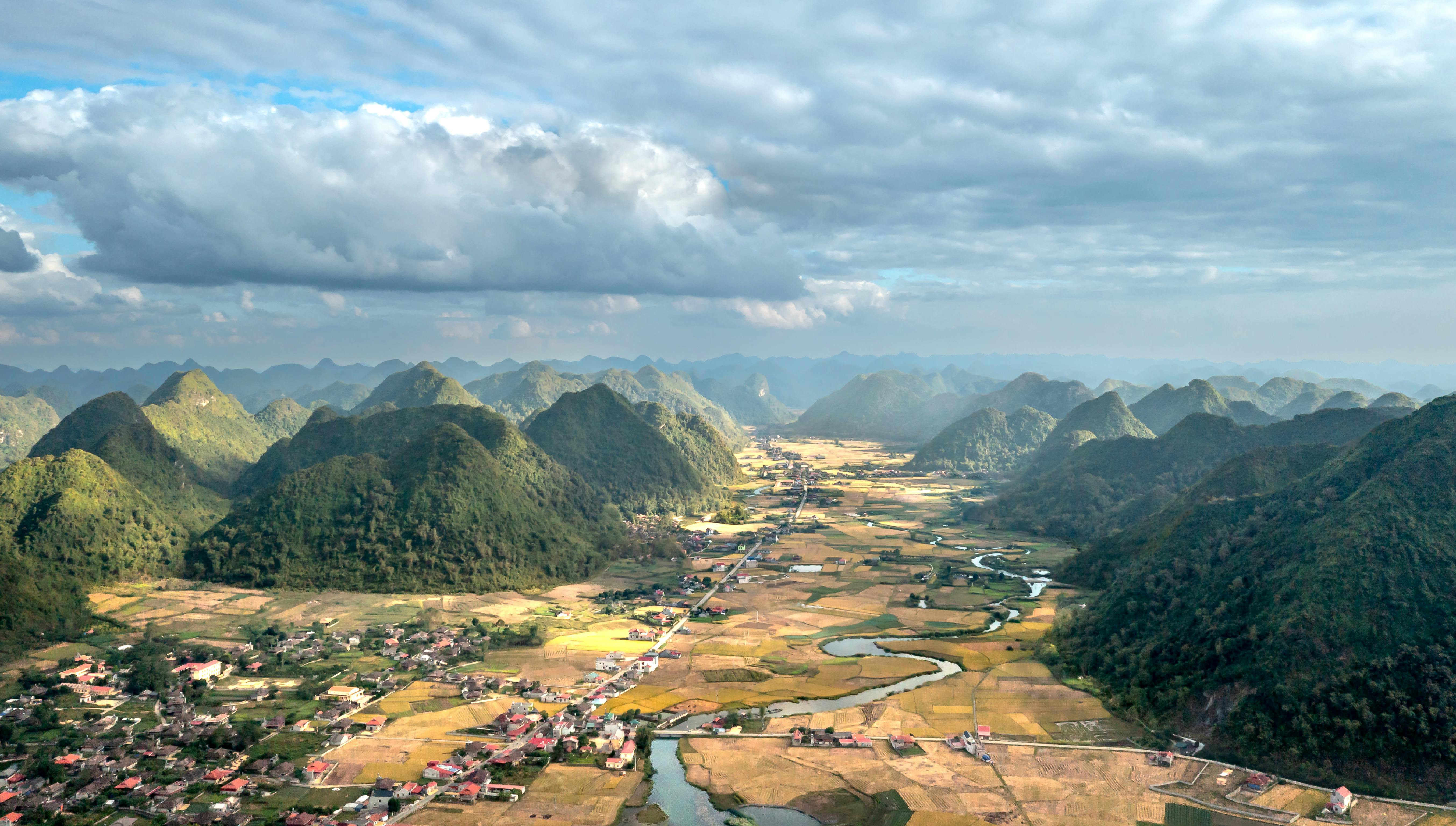 Miễn phí Ảnh lưu trữ miễn phí về ban ngày, bình yên, cánh đồng lúa Ảnh lưu trữ