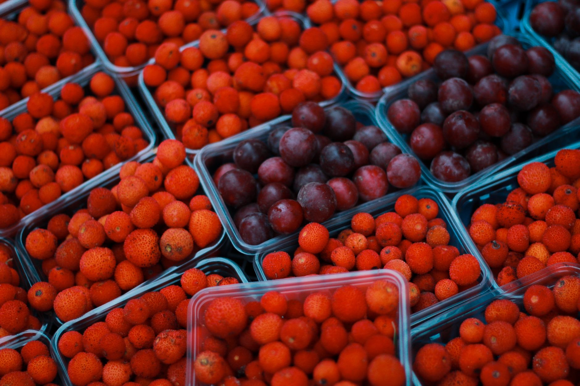 Close-up of fresh Turkish bayberries and plums in plastic containers for sale at a market in Bursa, Turkey.
