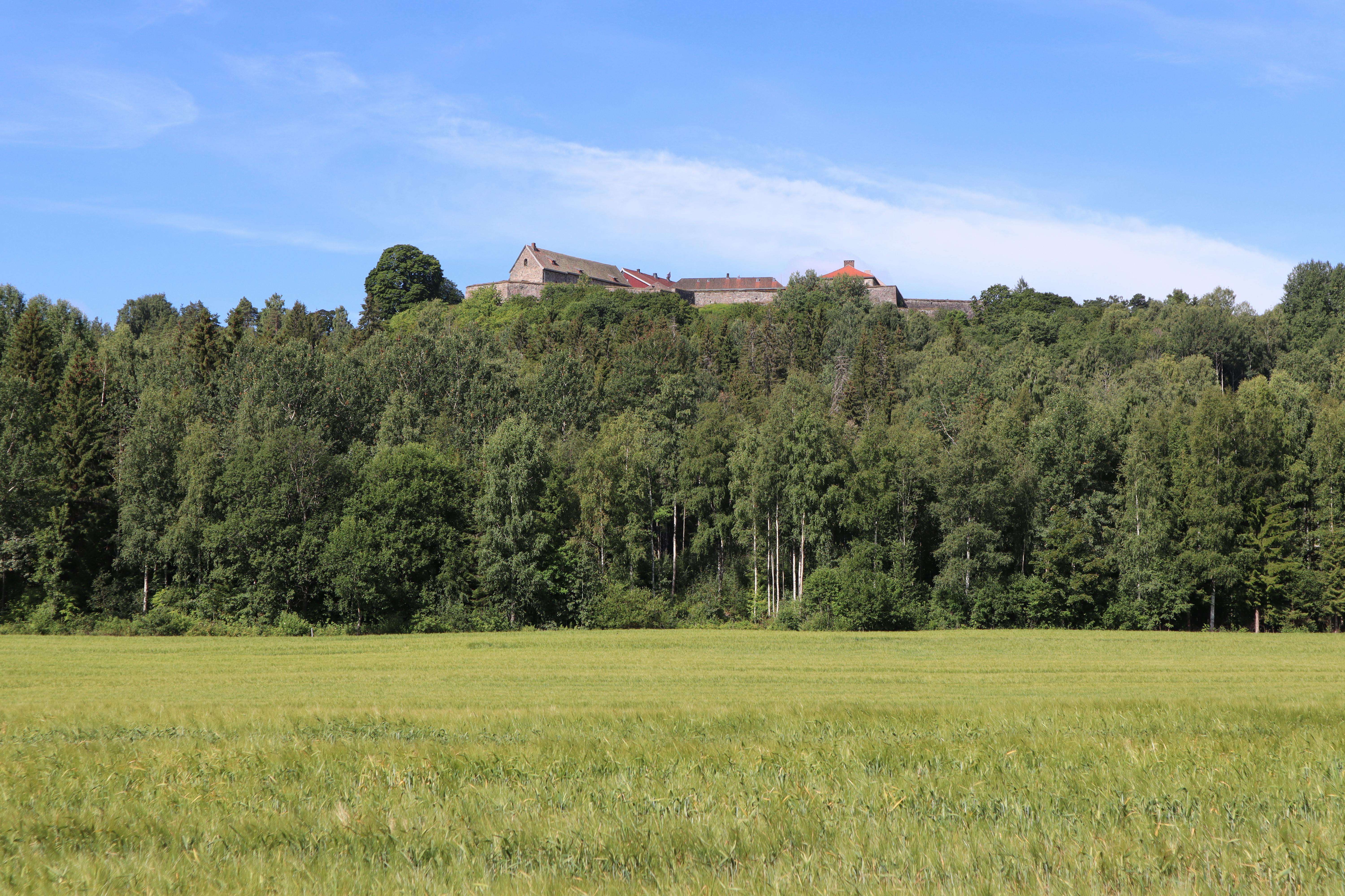 a large field with trees and a castle in the background